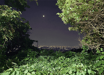 夜景を見ながら