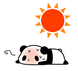 今年の夏も