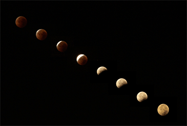 ちょっとだけ期待しつつ