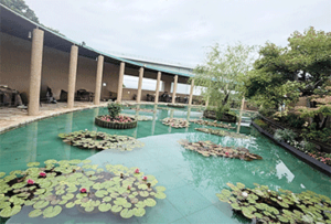 徳島観光 大塚国際美術館